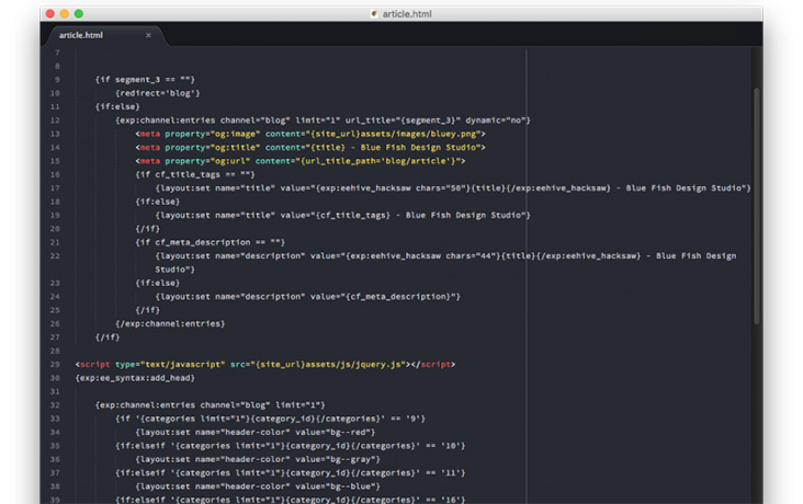 10 Things Every ExpressionEngine Developer Should Know - Blue Fish